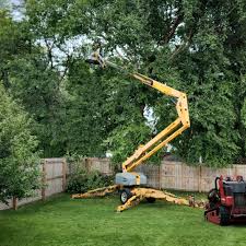  Shrewsbury, NJ Tree Removal Pros