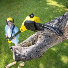 Best Commercial Tree Services  in Shrewsbury, NJ