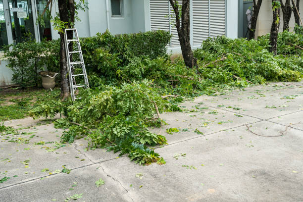 Best Organic Lawn Care Solutions  in Shrewsbury, NJ