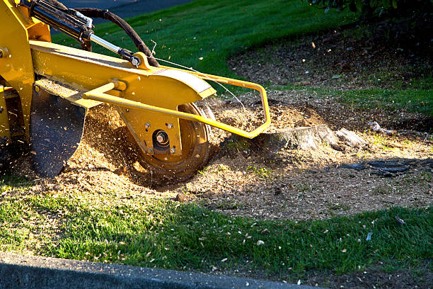 Mulching Services in Shrewsbury, NJ