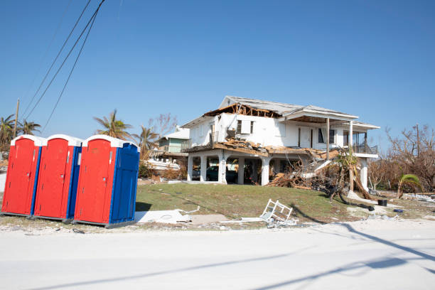 Reliable Shrewsbury, NJ Tree Removal Solutions